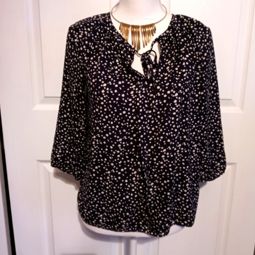 Ann Taylor SP petite polka dot blouse